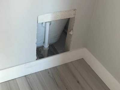 Chameleon Happy Painter