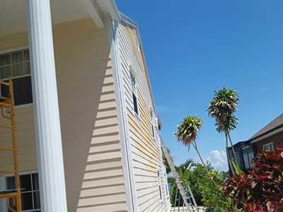 Chameleon Happy Painter