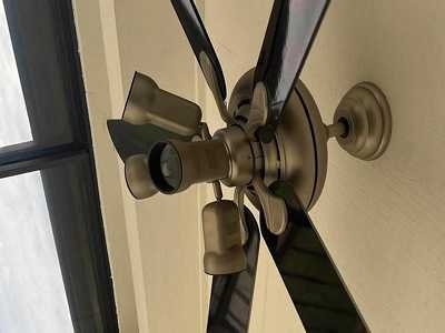 Chameleon Happy Painter