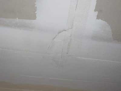 Chameleon Happy Painter