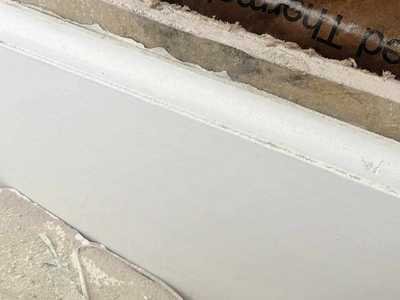 Chameleon Happy Painter