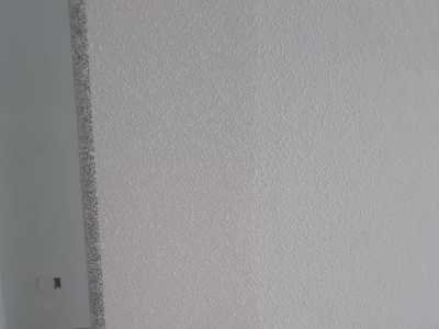 Chameleon Happy Painter