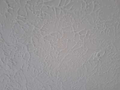 Chameleon Happy Painter