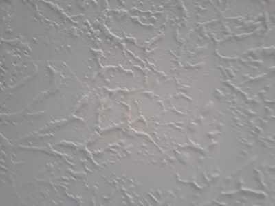 Chameleon Happy Painter