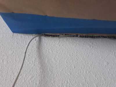 Chameleon Happy Painter