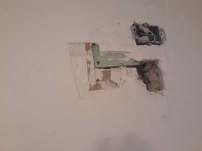 Chameleon Happy Painter