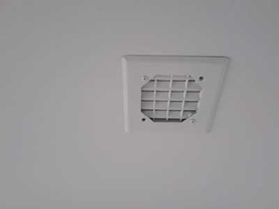 Chameleon Happy Painter