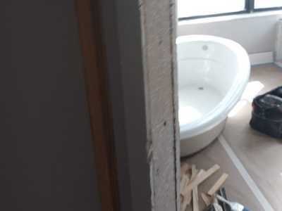 Chameleon Happy Painter