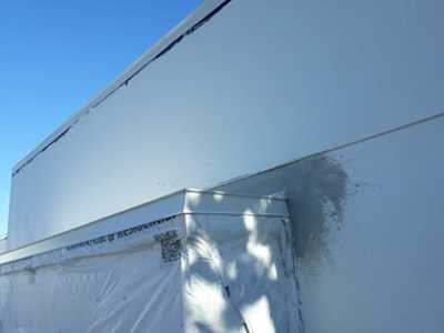 Chameleon Happy Painter