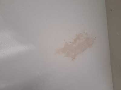 Chameleon Happy Painter