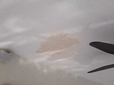 Chameleon Happy Painter