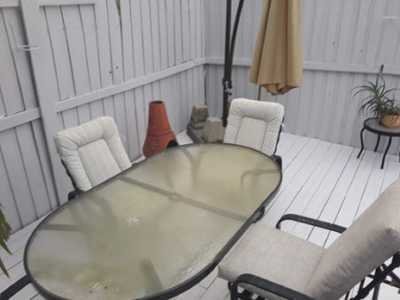 Chameleon Happy Painter