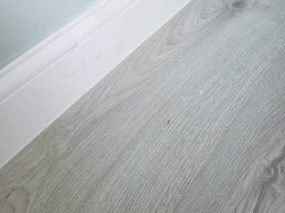 Chameleon Happy Painter