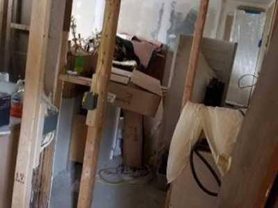 Chameleon Happy Painter