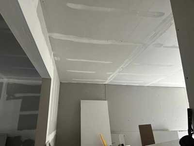 Chameleon Happy Painter