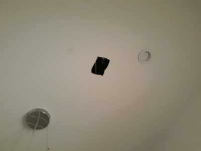 Chameleon Happy Painter