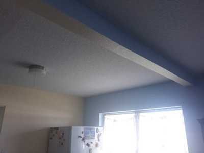 Chameleon Happy Painter