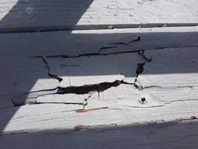 Chameleon Happy Painter