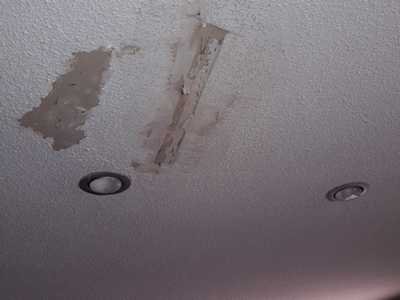 Chameleon Happy Painter