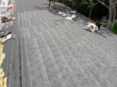 Chameleon Happy Painter