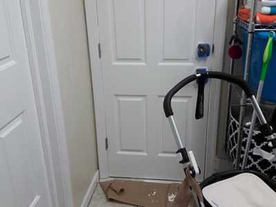 Chameleon Happy Painter