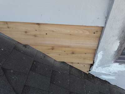 Chameleon Happy Painter