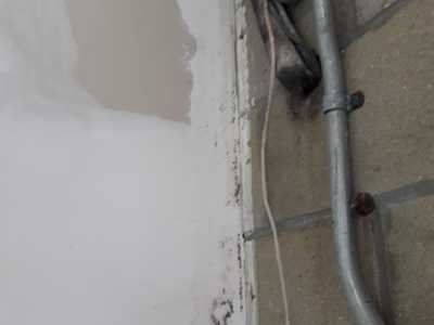 Chameleon Happy Painter