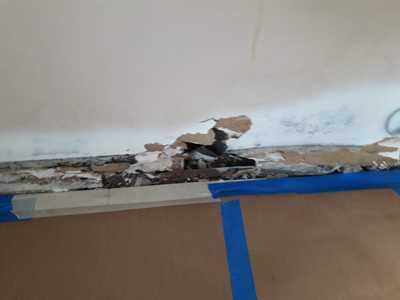 Chameleon Happy Painter