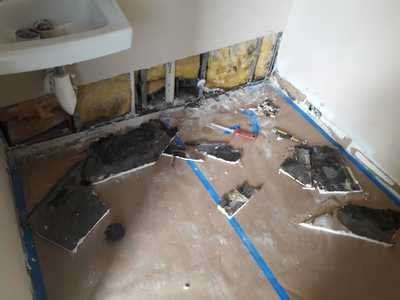 Chameleon Happy Painter