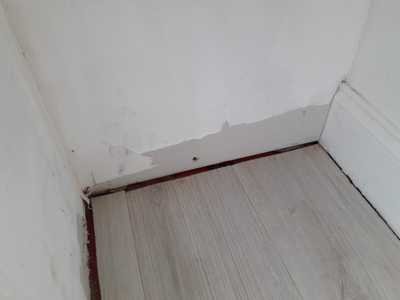 Chameleon Happy Painter