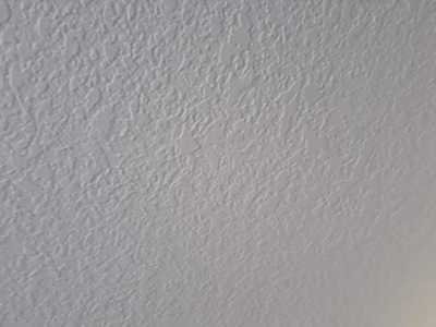 Chameleon Happy Painter