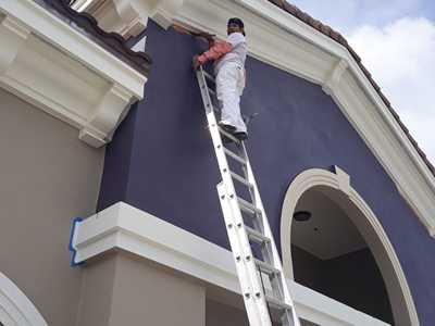 Chameleon Happy Painter