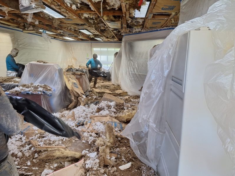 Chameleon Happy Painter