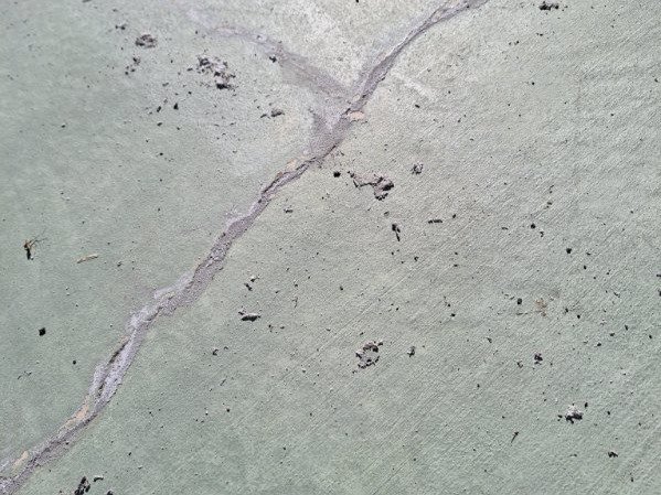 Chameleon Happy Painter