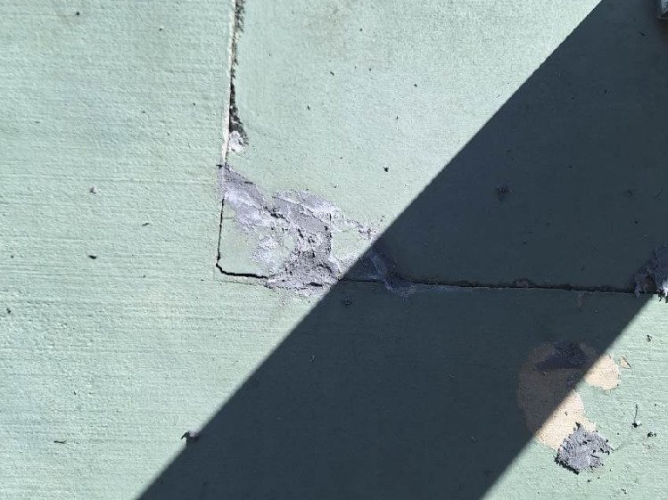 Chameleon Happy Painter