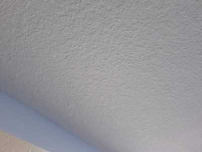 Chameleon Happy Painter