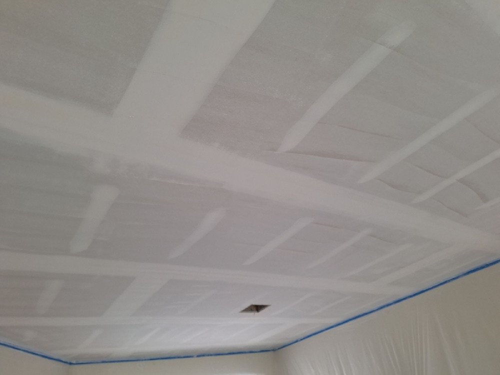 Chameleon Happy Painter