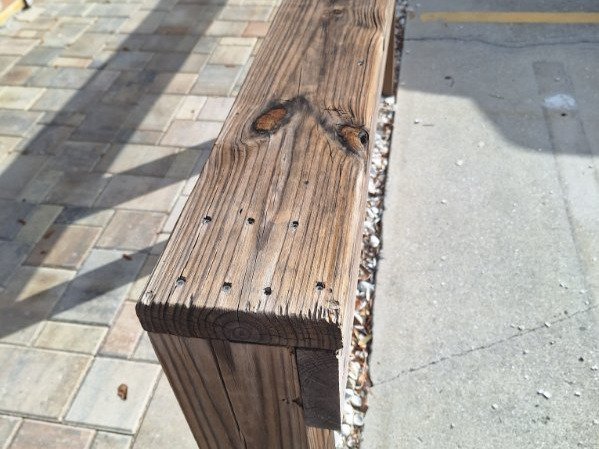 Chameleon Happy Painter