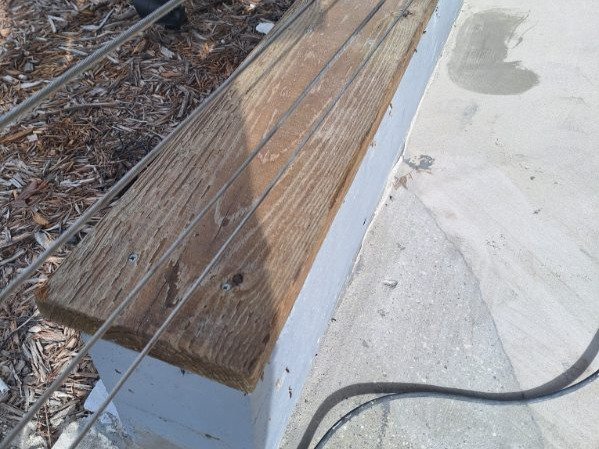 Chameleon Happy Painter