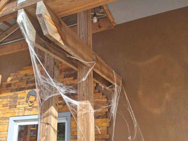 Chameleon Happy Painter