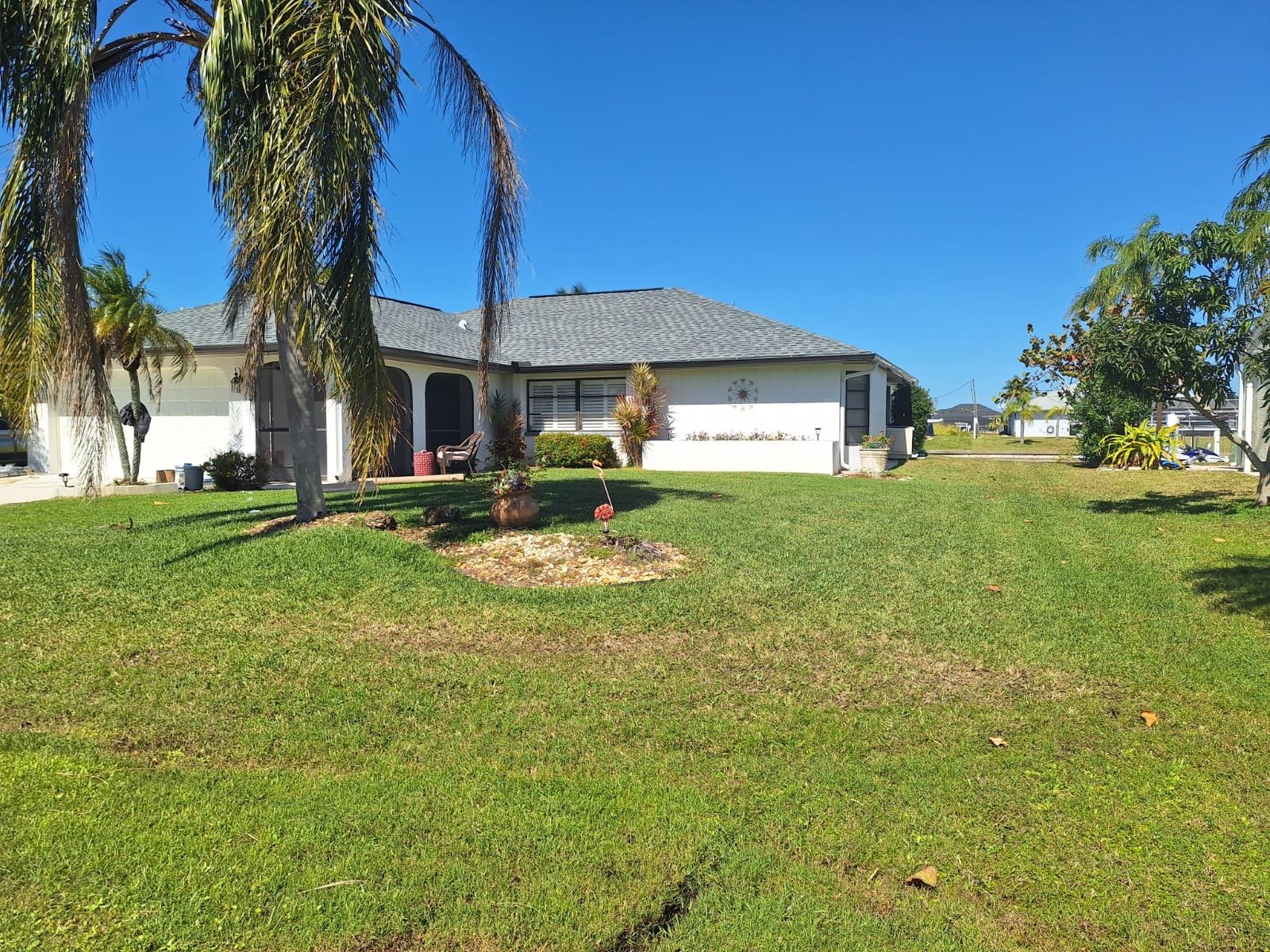 Chameleon Happy Painter