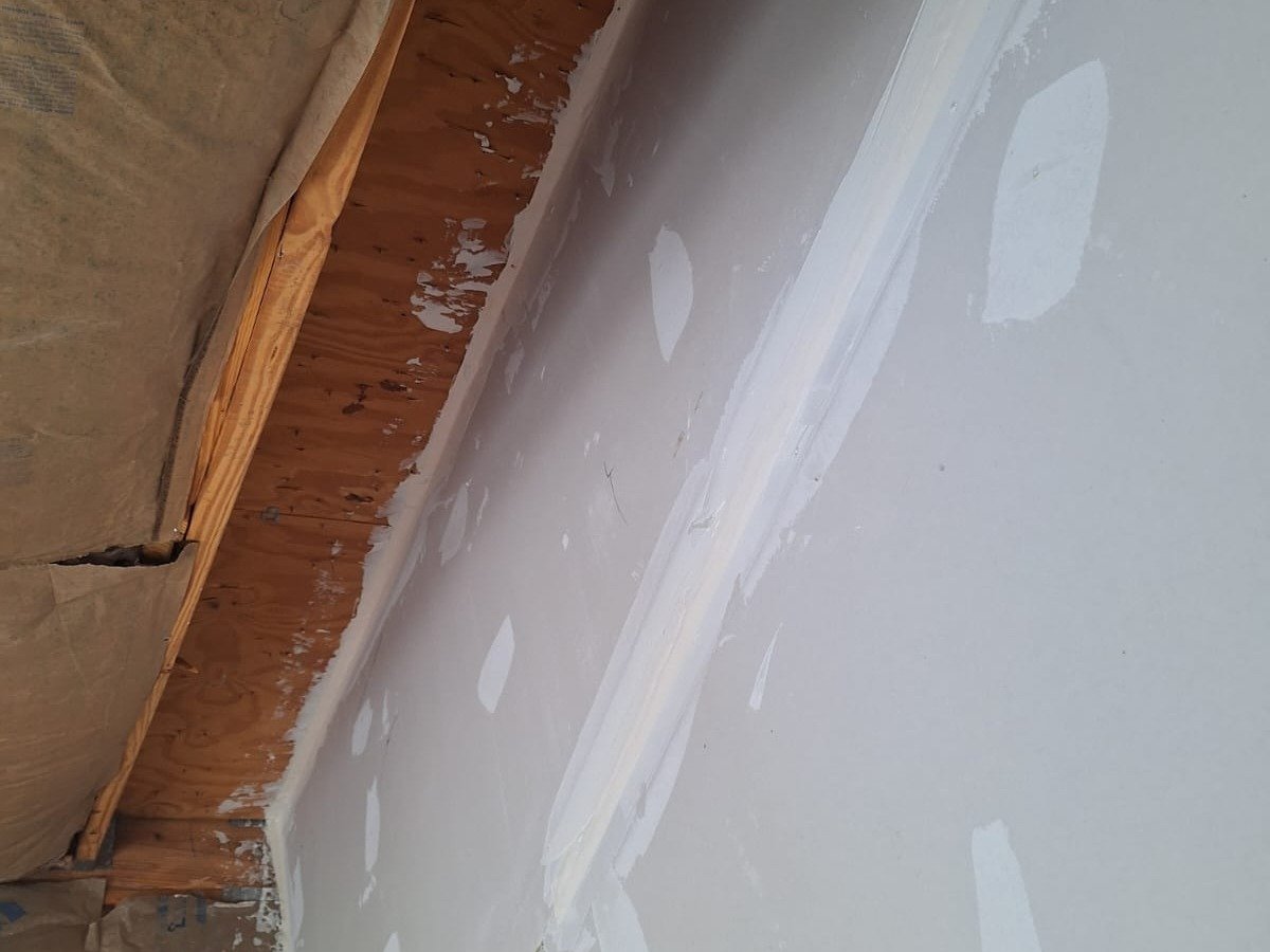 Chameleon Happy Painter