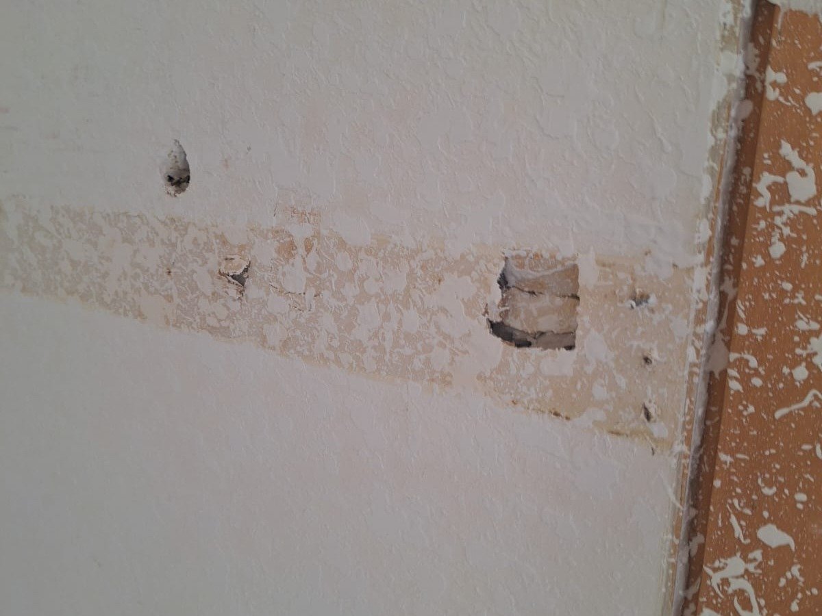 Chameleon Happy Painter