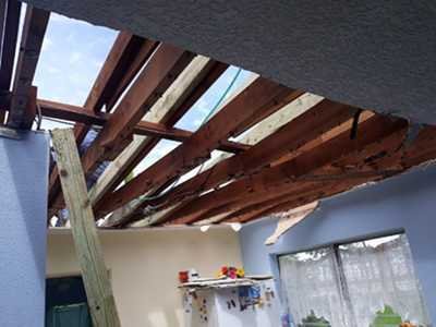 Chameleon Happy Painter