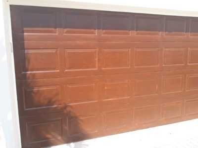 Chameleon Happy Painter