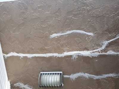 Chameleon Happy Painter