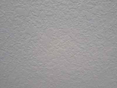 Chameleon Happy Painter