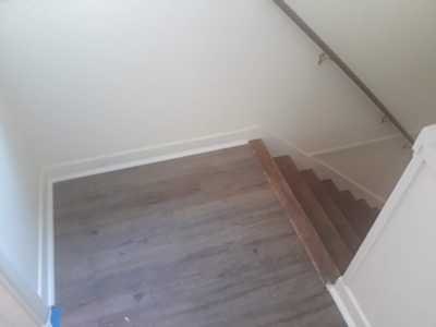 Chameleon Happy Painter