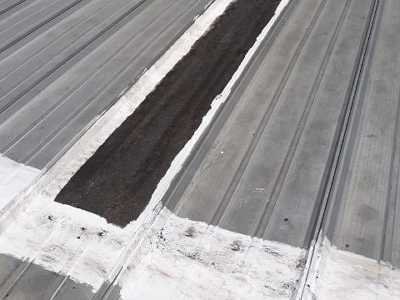 Chameleon Happy Painter