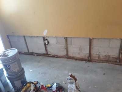 Chameleon Happy Painter